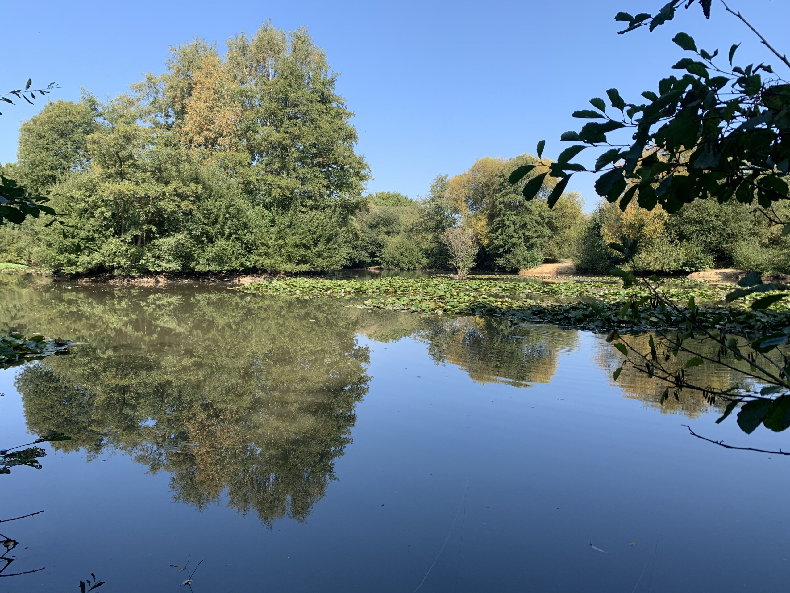 Riverside Gatwick Lake Horley Piscatorial Society